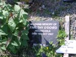 DSC02340, O'DOWD.JPG